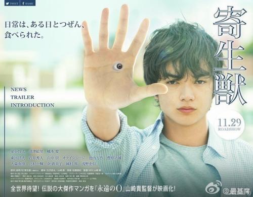 罗马San Pio V自由大学经济学文凭证书